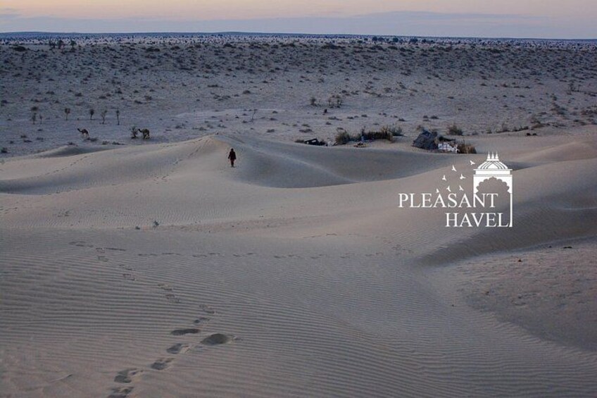 Pleasant Sunset Safari With Dinner On Dunes (From 2:00 PM to Approx. 10:00 PM) 5