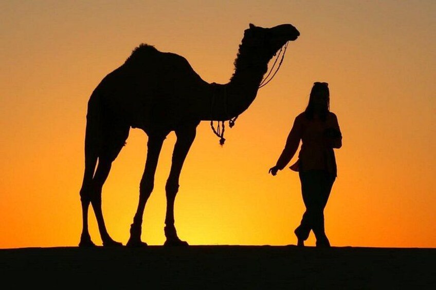 Pleasant Sunset Safari With Dinner On Dunes (From 2:00 PM to Approx. 10:00 PM) 1