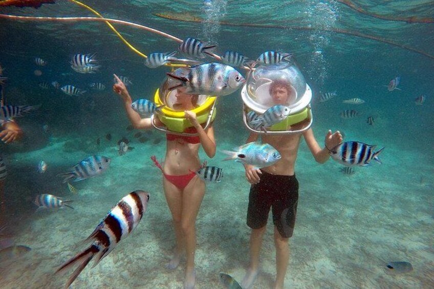 Two people snorkeling underwater with fish around them. 1