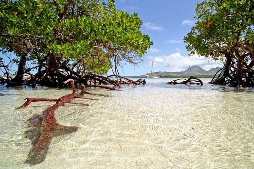 Spectacular Catamaran trip to Ile Aux Cerf with Lunch & Transfer 2