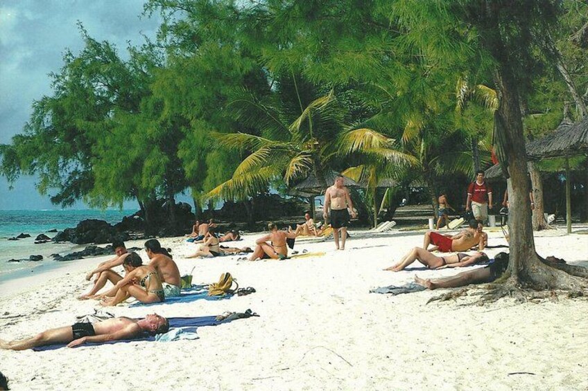 A beach with people sunbathing, palm trees, and a clear sky. 4