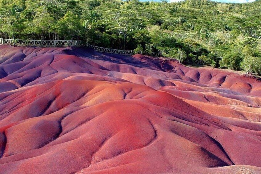 A landscape with undulating red terrain, a metal fence, and dense green foliage in the background. 5