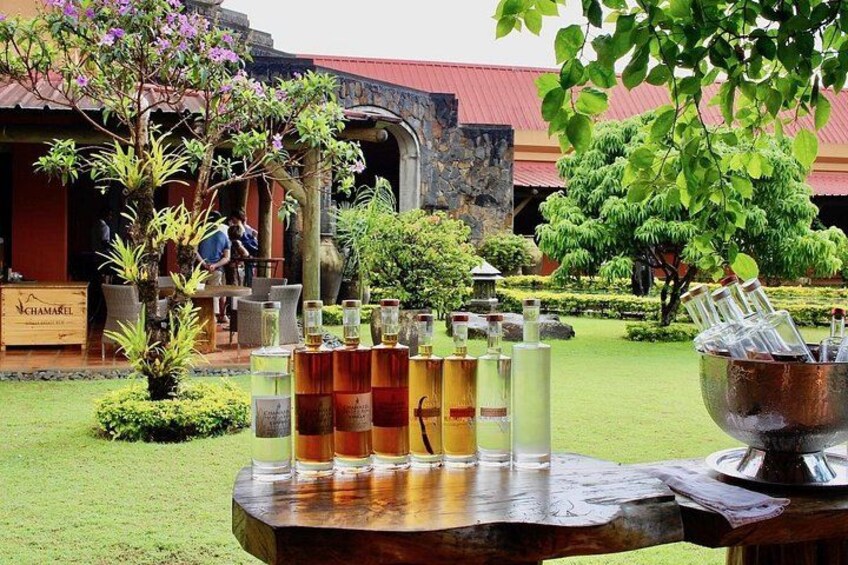 A table with drinks and a signboard in a garden area. 4