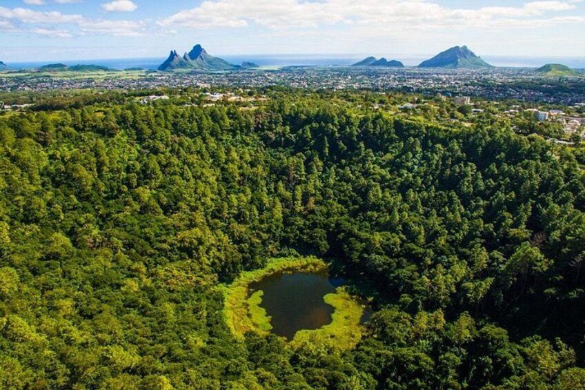 A dense forest with a circular clearing surrounded by trees. 3