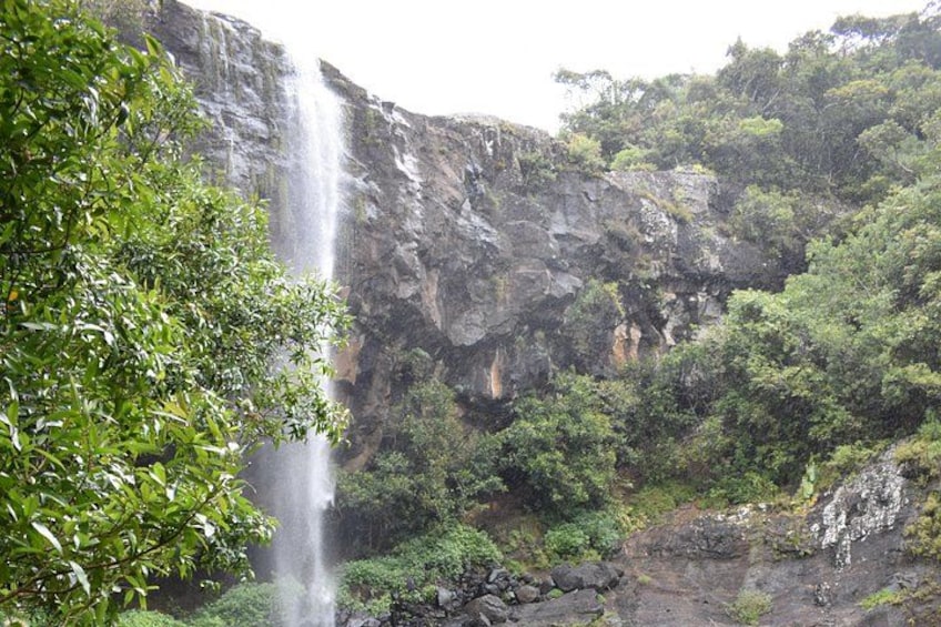Een waterval die over een rotswand stroomt, omringd door weelderige begroeiing. 1