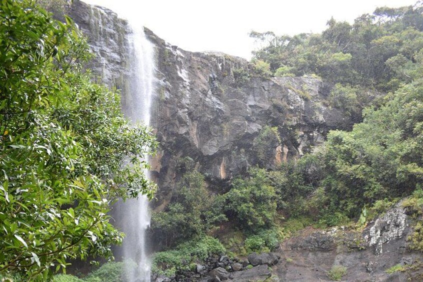 A waterfall cascading down a rocky cliff surrounded by lush greenery. 3