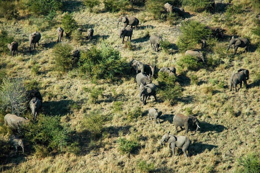 Helicopter Flight Experience Over Victoria Falls 4
