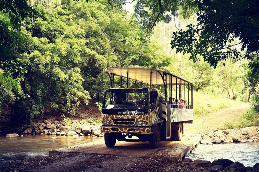 A safari vehicle with a covered top driving on a dirt path beside a river. 3