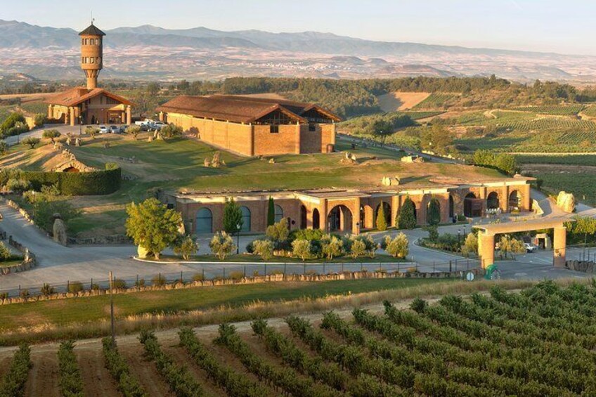 La Rioja winery visit with tasting and traditional lunch in small group tour