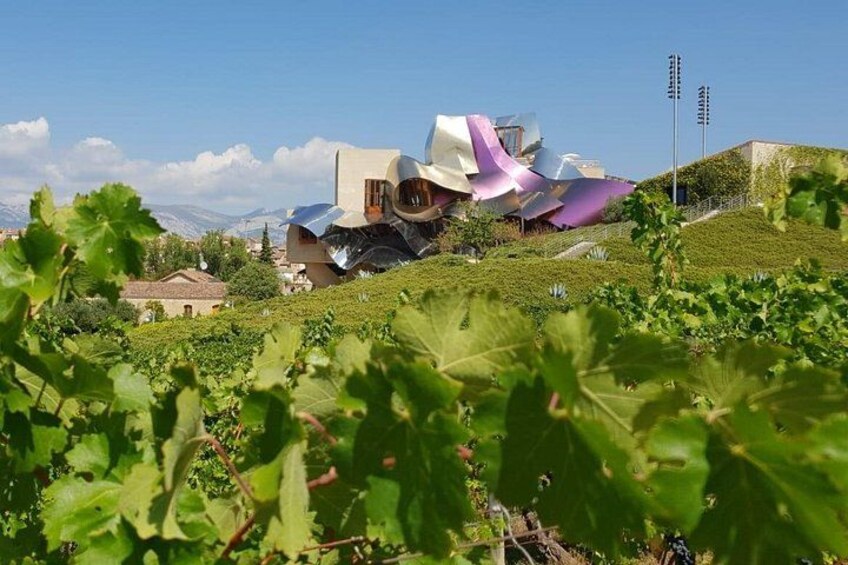 La Rioja wines and Laguardia tour from Logroño 5