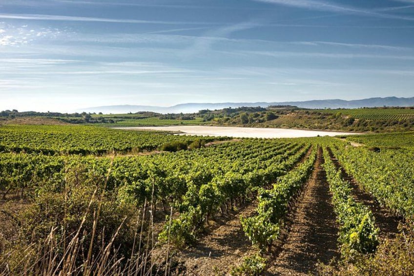 La Rioja wines and Laguardia tour from Logroño 3