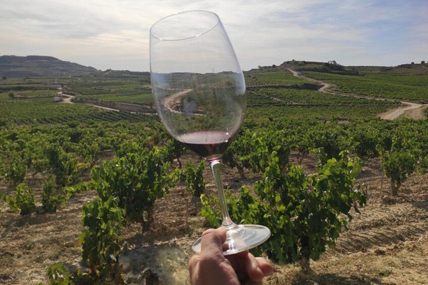 La Rioja wines and Laguardia tour from Pamplona 3