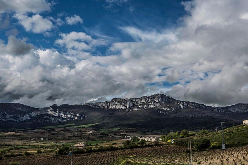 La Rioja wines and Laguardia tour from Pamplona 5