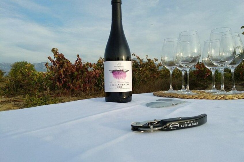 Een fles Denishato wijn, een kurkentrekker en lege wijnglazen op een tafel buiten. 3