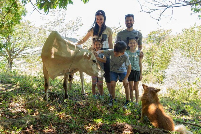From Cow to Cheese: Authentic Farm & Cheese Tour in Monteverde 3