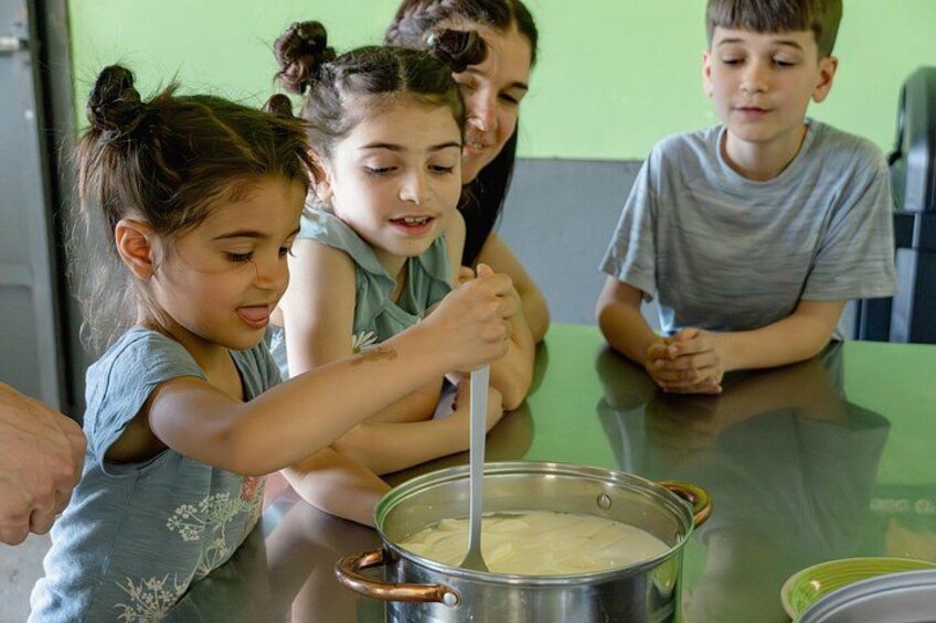 From Cow to Cheese: Authentic Farm & Cheese Tour in Monteverde 5