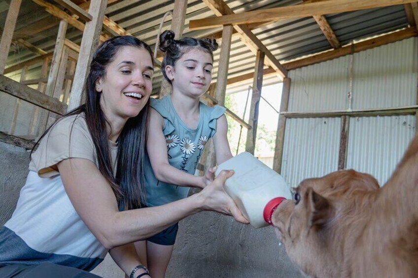 A person feeding a dog inside a wooden structure. 1