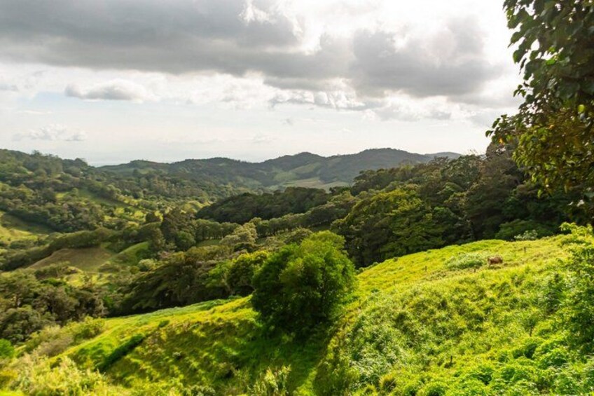 A lush green valley with rolling hills and a cloudy sky. 2