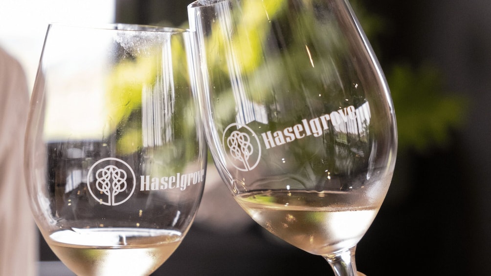 McLaren Vale Wine Tasting & Glenelg Beach Tour from Adelaide 3