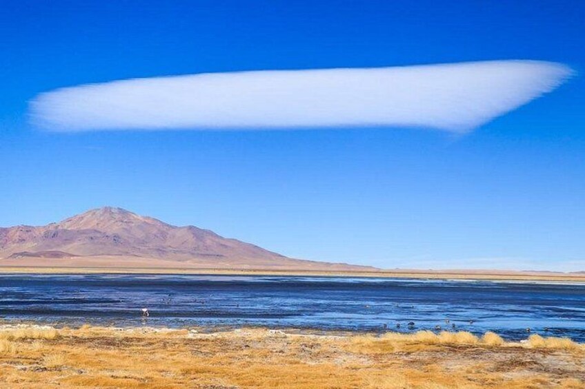 4-Day Atacama Desert Experience with Hotel, Tours & Meals 2