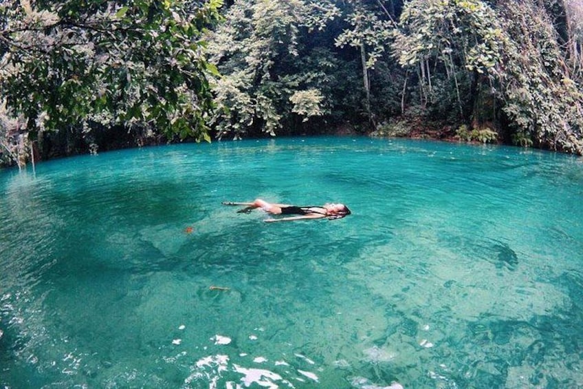 A person floating in clear turquoise water surrounded by dense green foliage. 2