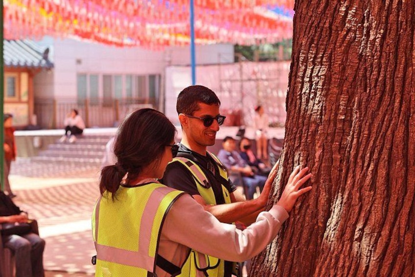 Two people in high-visibility vests touching a tree trunk. 2