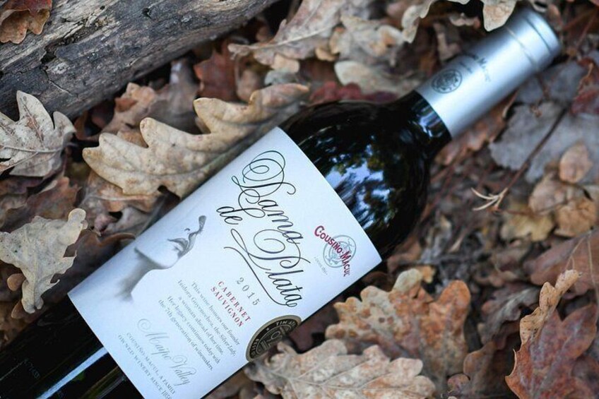 "Premium Wine Tour" Viña Cousiño Macul Official english 5
