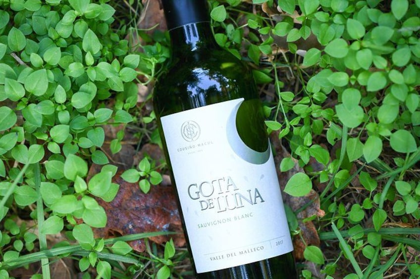 En flaska Costa Del Luna-vin med etikett, placerad på marken bland grönt lövverk. 4