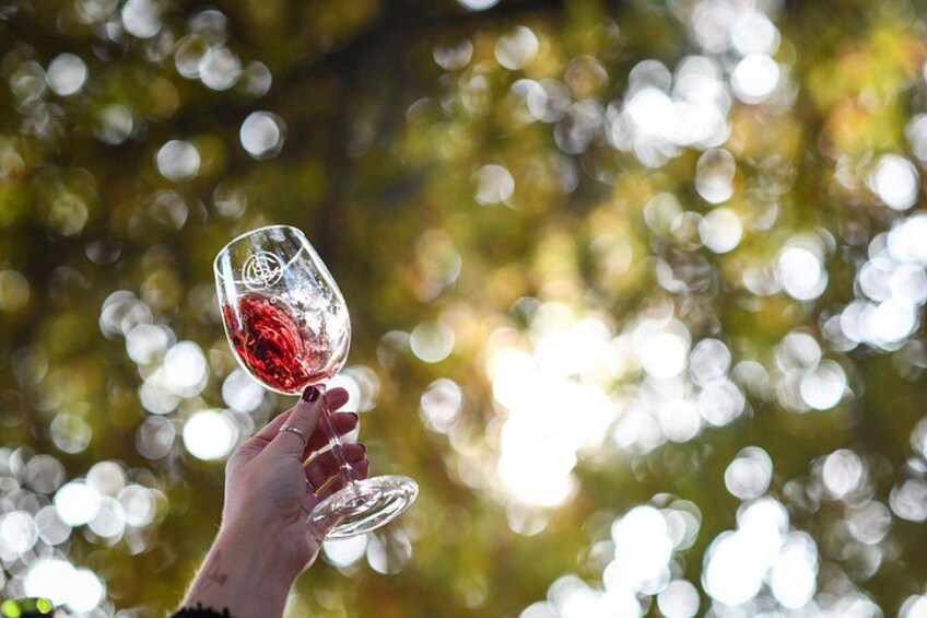 Une main tenant un verre à vin rempli d’un liquide rouge, le tout sur un fond flou de lumières créant un effet bokeh. 3