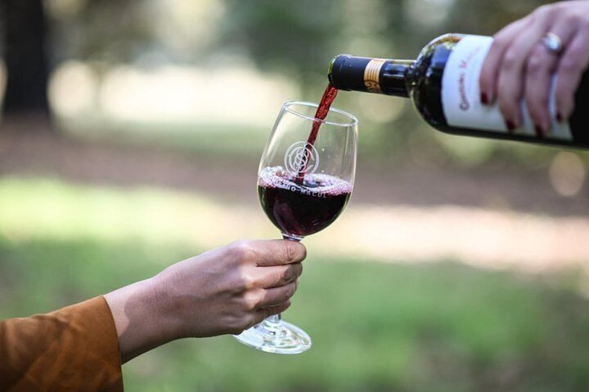 "Premium Wine Tour" Viña Cousiño Macul Official english 3