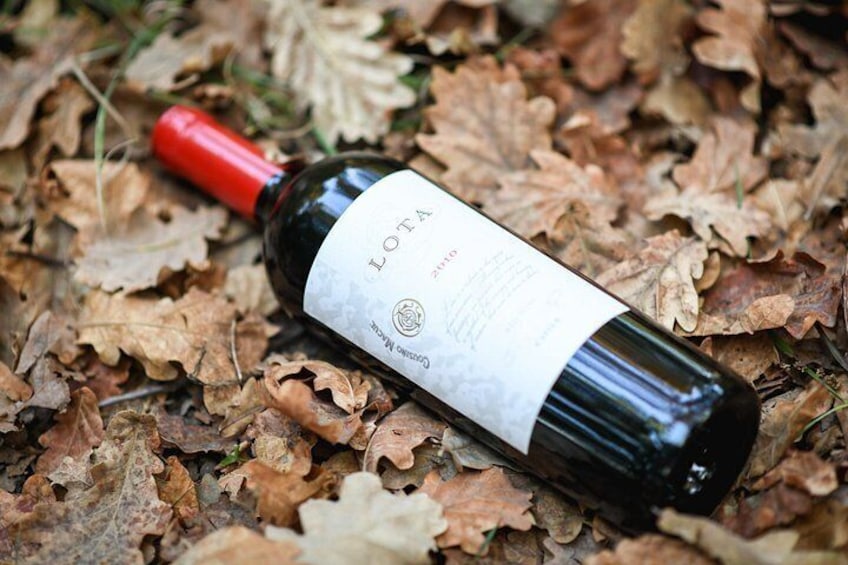 "Premium Wine Tour" Viña Cousiño Macul Official english 4