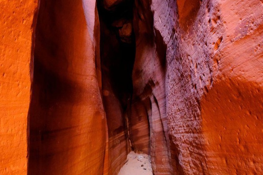 East Zion 2.5 Hour Slot Canyon Canyoneering UTV Tour 4