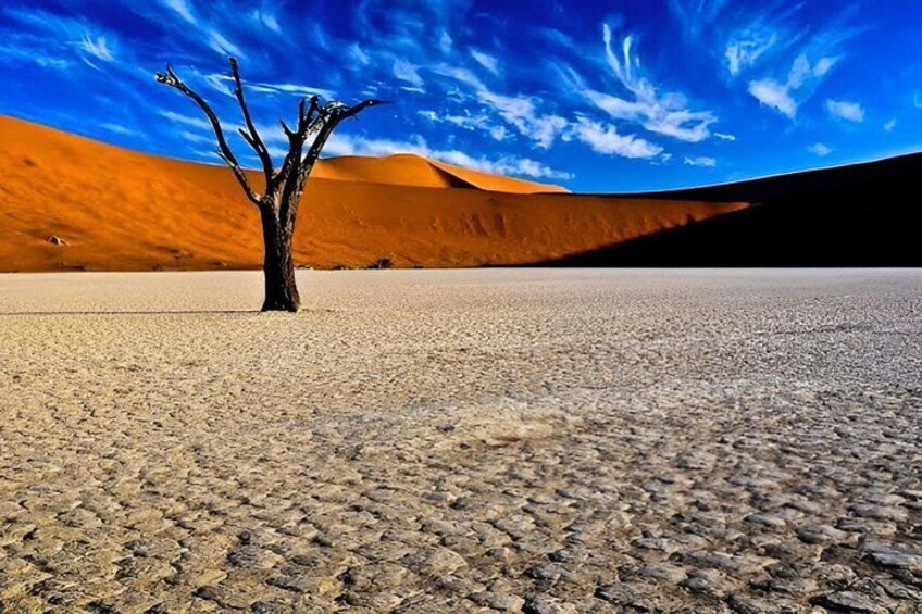 A desert landscape with a prominent dead tree in the foreground and rolling sand dunes in the background. 2