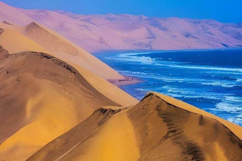 Sand dunes, a beach, and the ocean. 3