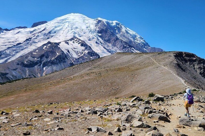 Mount Rainier Day Hike 4