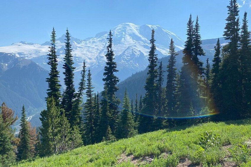 A snow-capped mountain, evergreen trees, and a grassy foreground. 3