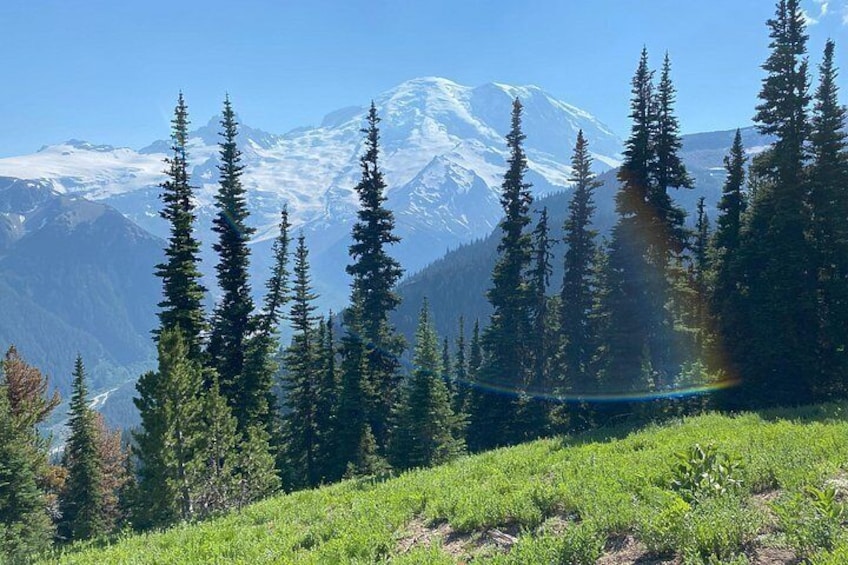 Mount Rainier Day Hike 3