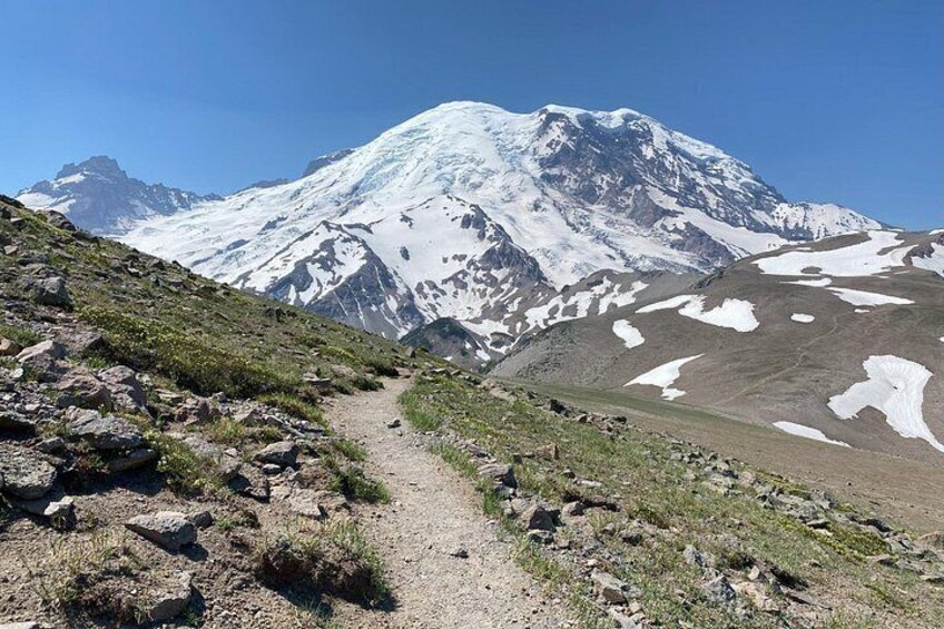 Mount Rainier Day Hike 5