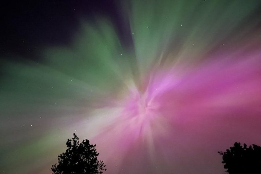 Canmore: Stargazing and Nature by Nightfall Walking Tour - 2hr 2