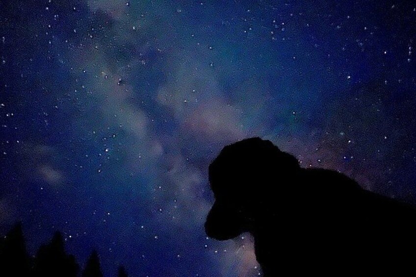 Canmore: Stargazing and Nature by Nightfall Walking Tour - 2hr 5