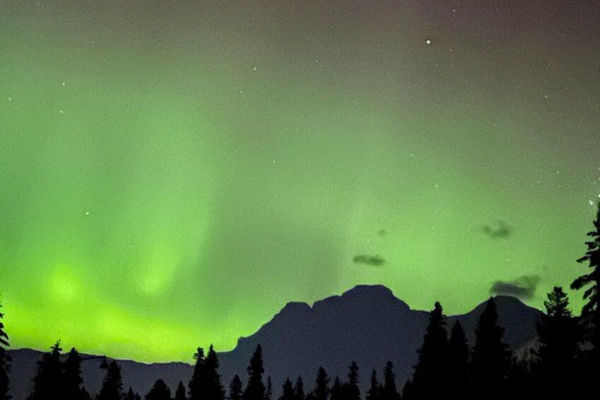 Canmore: Stargazing and Nature by Nightfall Walking Tour - 2hr 3