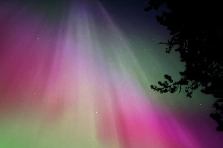 Canmore: Stargazing and Nature by Nightfall Walking Tour - 2hr 2