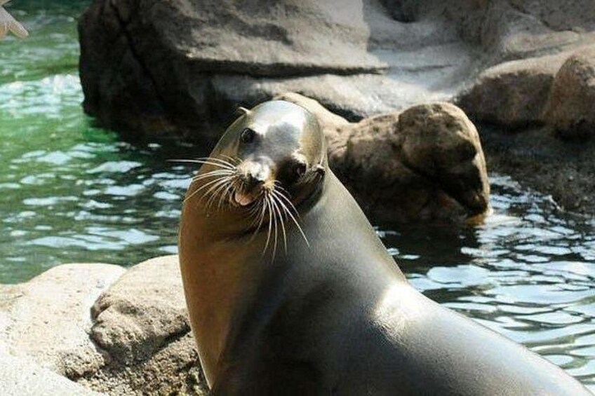 Bronx Zoo Admission Ticket 2