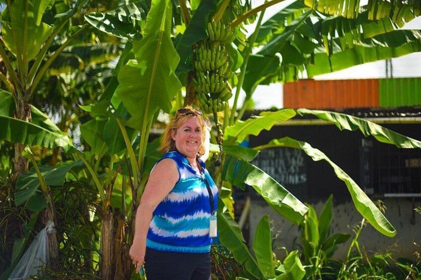 A person standing in a tropical setting with banana plants and a building in the background. 2
