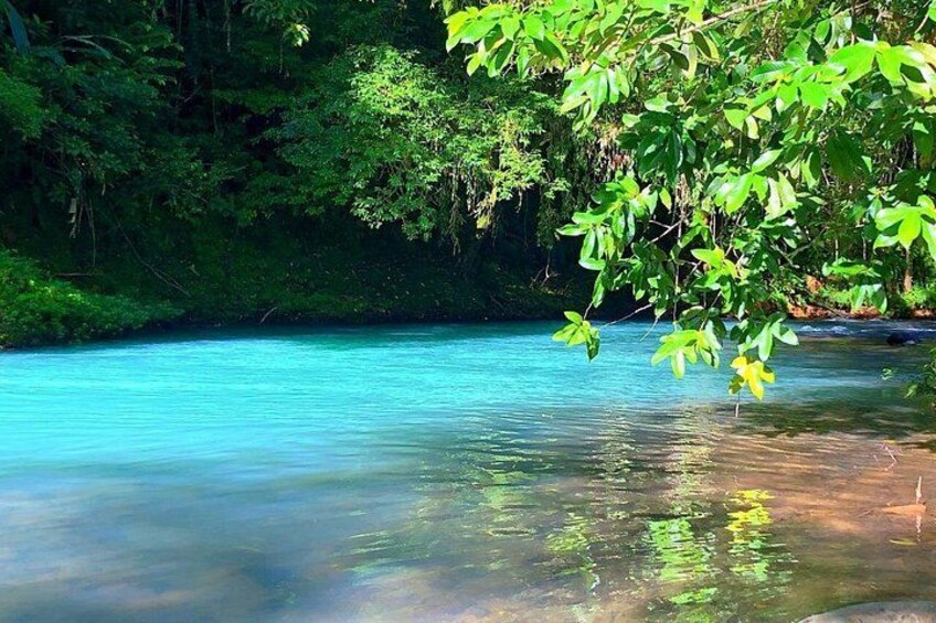 Un río azul y cristalino rodeado de vegetación verde exuberante. 4
