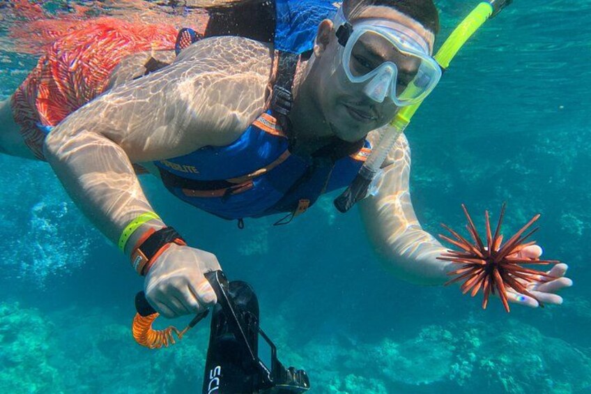 Eine Person beim Schnorcheln unter Wasser, die einen Seestern hält. 5