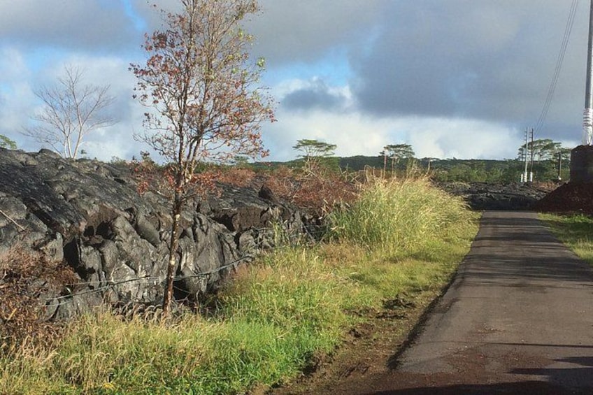 Hilo Shore Excursion: Volcano Safari Lava Caves & Black Sand 5