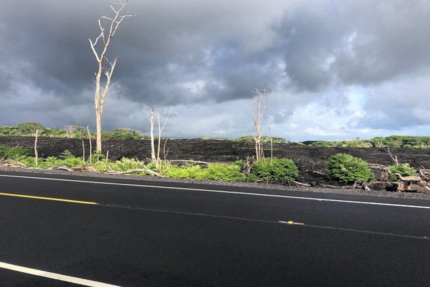 Hilo Shore Excursion: Volcano Safari Lava Caves & Black Sand 4