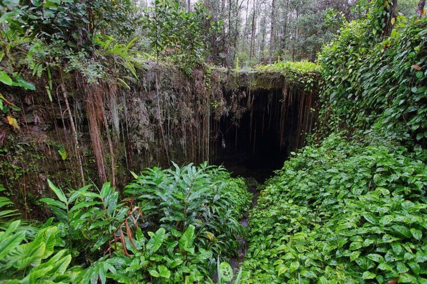 Hilo Shore Excursion: Volcano Safari Lava Caves & Black Sand 2