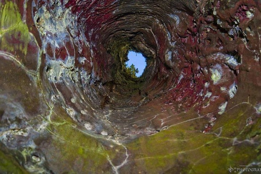 inside a lava tree 2